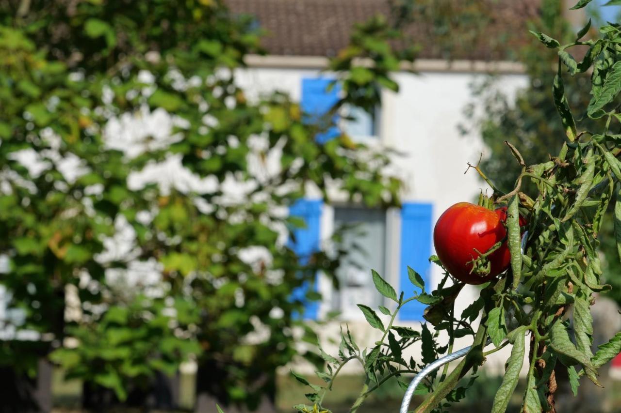 Bed and Breakfast Moulin De Mauzac Saint-Just-Luzac Exterior foto